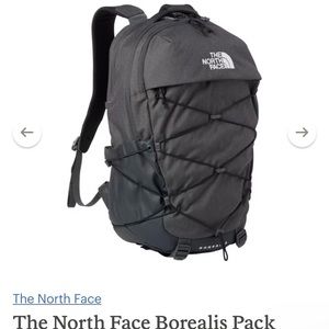 North face borealis